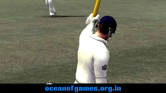 Cricket 07 Download PC