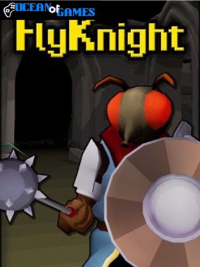 FlyKnight ocean of games