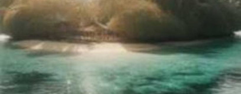 U N P O C Vessel of Opportunity Free Download