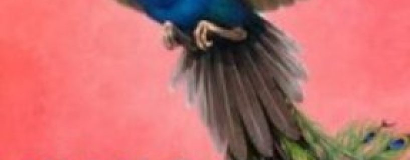 Wingspan Asia Expansion Free Download
