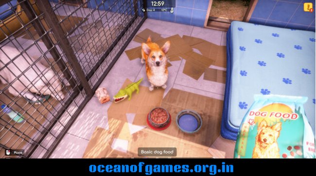 Animal Shelter 2 Download PC