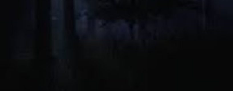 Forest 6174 Free Download