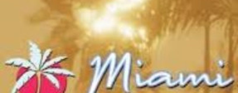 Miami Hotel Simulator Free Download