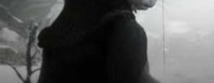 Twelves Shadow Free Download