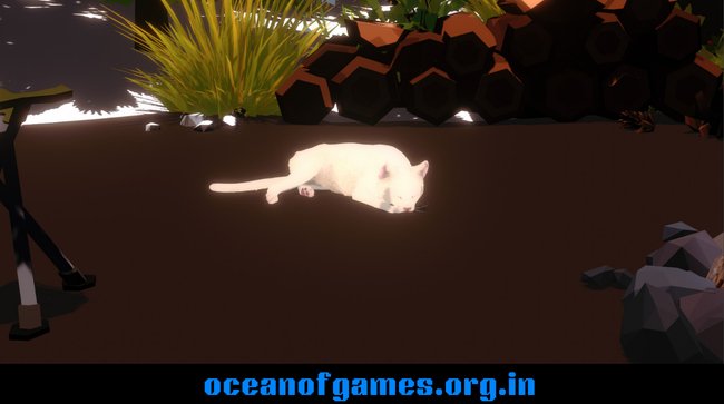 Campfire with Cat Download PC