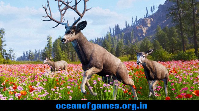 Way of the Hunter 2 Download PC