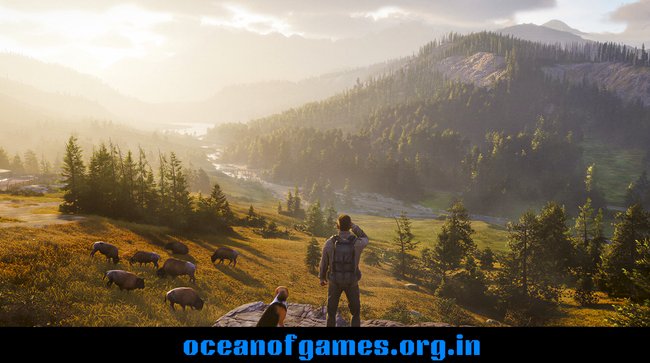 Way of the Hunter 2 Download PC